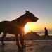 Profile Picture of Scott Sargent (@scott.sargent.167) on Facebook