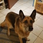 Profile Picture of Ralf Hiller (@Ralf-Hiller) on Facebook