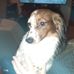 Profile Picture of Stuart Kellogg (@stuart.kellogg.50) on Facebook