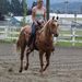 Profile Picture of Joleen Larsen (@joleenie11) on Pinterest