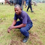 Profile Picture of Robert Tetu (@teturobert) on Instagram