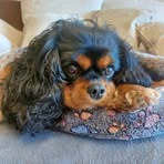 Profile Picture of LisaMarie Krauth (@Lisa-Marie-Krauth) on Facebook