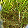 Profile Picture of marejerzyk (@marejerzyk) on Flickr