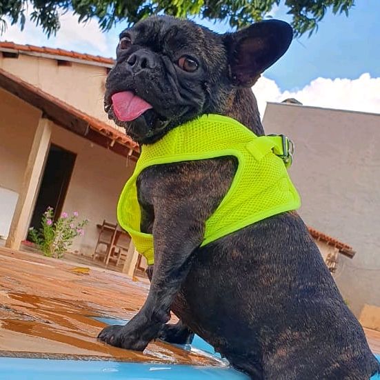 Profile Picture of Pandora_meireles (@pandora_meireles) on Tiktok