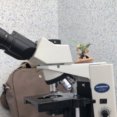 Eric Gomez Amador - Twitter Profile Picture of Eric Gomez Amador (@ericgomezamador) on Twitter