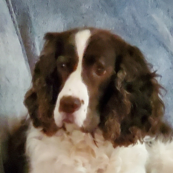 Profile Picture of Robin Giesbrecht (@robingies66) on Poshmark