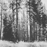 Profile Picture of Curtis Cassano (@cassano_curtis) on Instagram