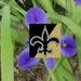 Profile Picture of Cheryl Hackler (@crescentcity) on Pinterest