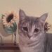 Profile Picture of Shelly Scales (@shelly.scales.3) on Facebook