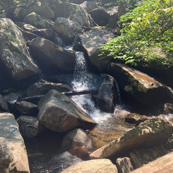 Profile Picture of Alex Jaramillo (@fwalex1k) on Poshmark