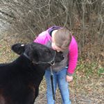 Profile Picture of Amanda Rapp (@livestock_lover13) on Instagram