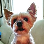 Profile Picture of Paula Surber (@paulasurber67) on Instagram
