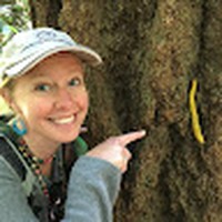 Profile Picture of Katherine Frame Coleman (@katherine-frame-coleman) on Quora