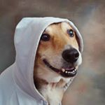 Profile Picture of David Colantonio (@david_colantonio) on Instagram