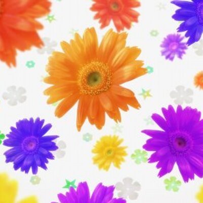 Profile Picture of David Rosas (@DavidSRosas) on Twitter