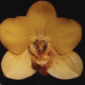 Profile Picture of erika houle (@houleerika21) on Pinterest