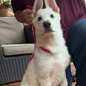 Profile Picture of Aaron Carter (@AaronCarter-n5p) on Youtube