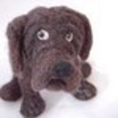 Profile Picture of Pam Duthie (@BenMcfuzzylugs) on Twitter