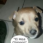 Profile Picture of Daniel (@danielrainero2019) on Instagram