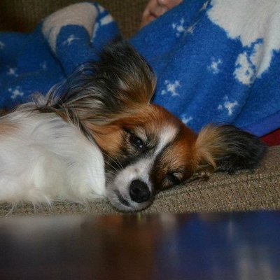 Profile Picture of Mike Michalowski (@MichalowskiMike) on Twitter