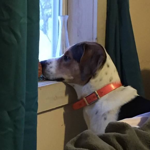 Jenna Wilz - Poshmark Profile Picture of Jenna Wilz (@jenna_waz_here) on Poshmark