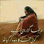 Profile Picture of nazia shah (@nazia4113) on Instagram