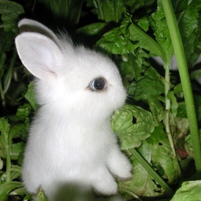 Profile Picture of Caitlin Mauk (@CaitlinMauk) on Twitter