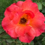 Profile Picture of Kathy Fogle (@kathy_fogle_) on Instagram