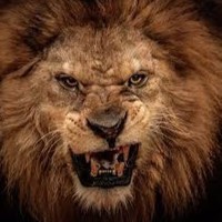 Profile Picture of Ariel Sher (@ariel-sher-2) on Quora
