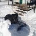 Profile Picture of Adam Bolduc (@adam.bolduc.12) on Facebook