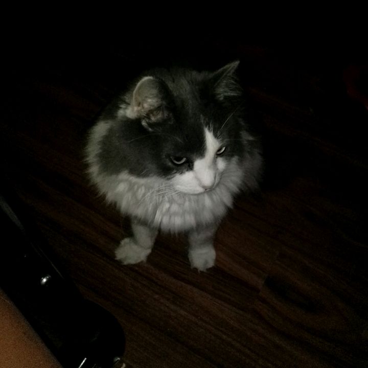 Profile Picture of Mark Hines (@markhines7) on Tiktok