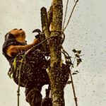 Profile Picture of Toby Davies (@toby_davies10) on Instagram