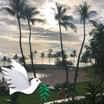 Profile Picture of Matthew Winegar (@Matthew-Winegar) on Facebook