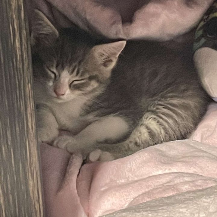 Profile Picture of Miranda (@crystalvivar00) on Tiktok