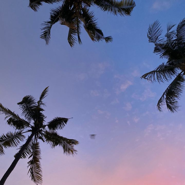 Profile Picture of adam (@adaamnal) on Tiktok