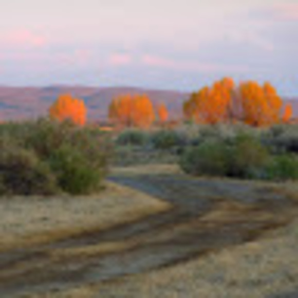 Profile Picture of Chuck Boyer (@chuckboyer) on Poshmark