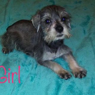 Profile Picture of Richard Hussfeldt (@richard.hussfeldt) on Facebook