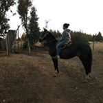 Profile Picture of Isabel Aburto (@isabel.aburto.37) on Instagram