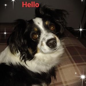 Profile Picture of Adam Galay (@GalayAdam) on Twitter