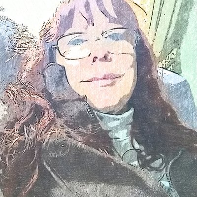 Profile Picture of Sally Bruce (@SallyBr87600972) on Twitter