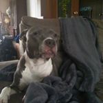 Profile Picture of Tommy Fraley (@tommy.fraley) on Instagram