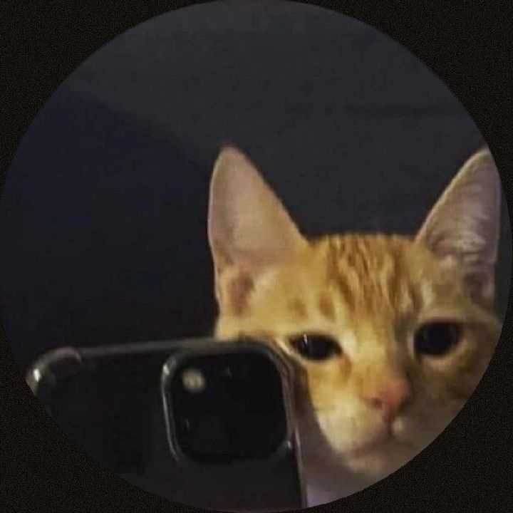 Profile Picture of McFall (@mcfall.04) on Tiktok