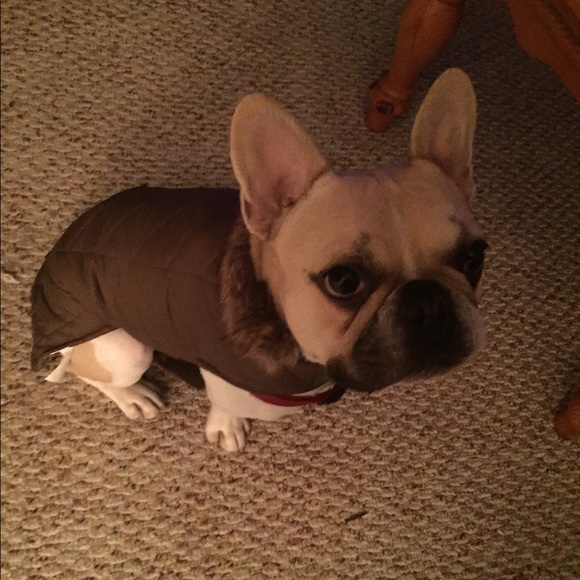 Profile Picture of Kerri Confrey (@kcon31) on Poshmark