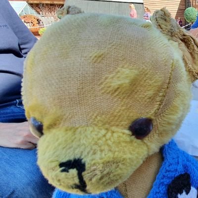 Profile Picture of Big John Bear (@bigjohnbear) on Twitter
