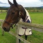 Profile Picture of Whitney Murphy (@whitneymurphy18) on Instagram