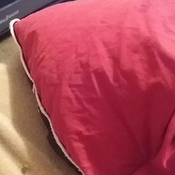 Profile Picture of Jessy Rohman (@jessyrohman) on Poshmark