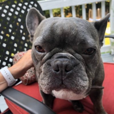 Profile Picture of Joe Krol (@joe_krol) on Twitter