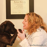 Profile Picture of travelanimaldr (@travelanimaldr) on Flickr