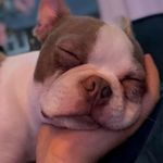Profile Picture of james maden cawthray (@jamesmadencawthray) on Instagram