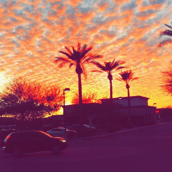 Profile Picture of Robbie Rozich (@robbierozich12) on Poshmark